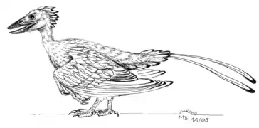 Modèle d'un Confuciusornis.