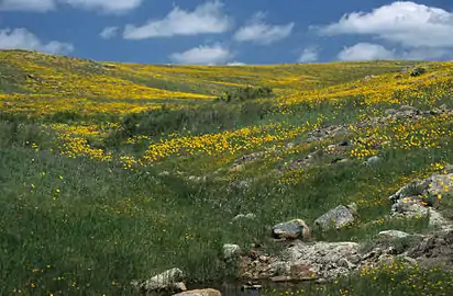 Prairie dans une réserve de l’Oklahoma (États-Unis).