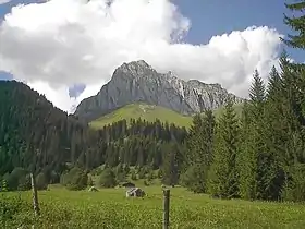 Les Cornettes de Bise vues depuis Chevenne.