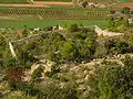 Enclos-apier de Correns (alt. : 219&nbsp;m), à 4 gradins et cabanon extérieur.