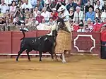 Caparaçon protégeant la monture du picador de la charge du taureau arènes Real Maestranza de Séville)