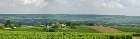 Image illustrative de l’article Coteaux, maisons et caves de Champagne