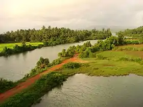 District de Goa Sud
