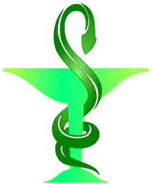 icône décorative
