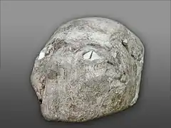Crâne surmodelé du néolithique conservé au musée archéologique d'Amman.