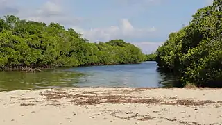 Le Creek Salé