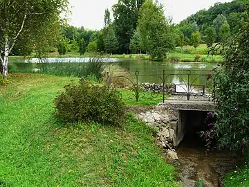 L'étang inférieur du Moulin blanc.
