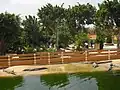 Espaces au soleil pour les crocodiles.
