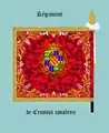 régiment de Crussol, revers