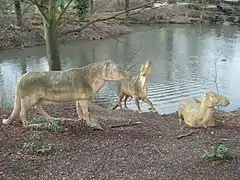 Reconstitution de Anoplotherium (Anoplotheriidae)