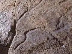 Relais rupestre que représente une tête de cheval, Grotte du Maure (Tarifa, actuelle province de Cadix).