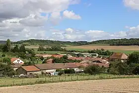 Culey
