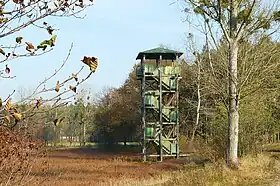 Czmoniec
