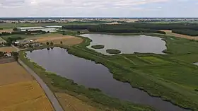 Dębica (Lublin)