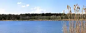 Wołkowiany