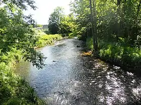 Dłużew
