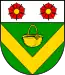 Blason de Schenkelberg