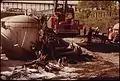 Perte de granulés plastiques industriels durant le transport : wagon-citerne éventré après un déraillement aux États-Unis.