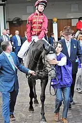 Image illustrative de l’article Roaring Lion