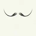 Moustache en croc