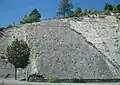 La strate fossilifère