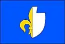 Drapeau de Darkovice