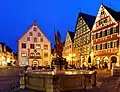 Vieil Hôtel de Ville, Milchlingsbrunnen (fontaine de traite)