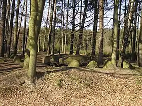 Dassendorf