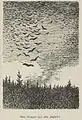 De tre prinsesser i Hvittenland, Theodor Kittelsen
