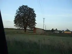 Dębów (Lublin)