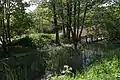 Marais de Jette au parc