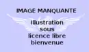 Drapeau de Chichaoua