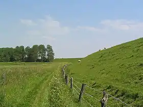 Friedrichsgabekoog