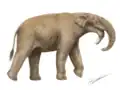 Restitution du Deinotherium bozasi par le paléoartiste J. Gamarr