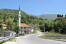 Delijaš