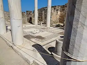 Mosaïque de sol du péristyle de la maison de Dionysos