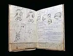 La « Page de Causse » et la « Page de la femme ».