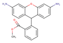 Image illustrative de l’article Dihydrorhodamine 123