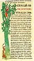 Page des Morales sur Job de Cîteaux :  moine coupant un arbre (BM Dijon, ms. 173, f. 41r)