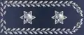 Polícia de Segurança Pública (Portugal).