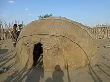 Daboyta