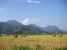 Doi Nang Non, District de Mae Sai