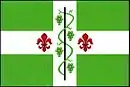 Drapeau de Dolenice