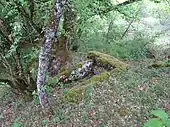 Dolmen de Cavagnès no 1