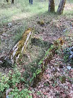 Dolmen du Cloup de Coutze