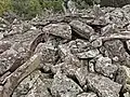 Vue arrière