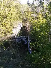 Dolmen de Bouriou no 1