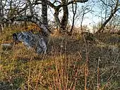 Dolmen de la Terre no 1