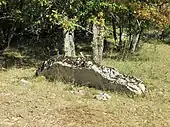 Dolmen de Caoumadou no&nbsp;1