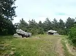 Les deux Dolmens de Kervadol